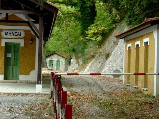 Karpofora Traditional Guesthouse Miléai Zewnętrze zdjęcie